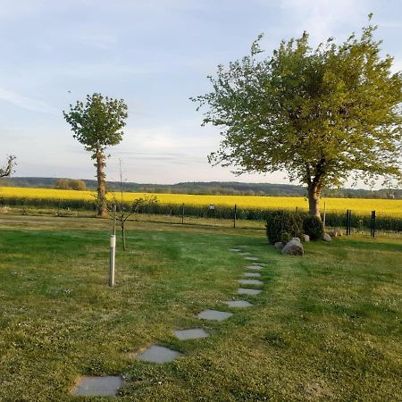 Strandlaeufer Kühlungsborn Dış mekan fotoğraf